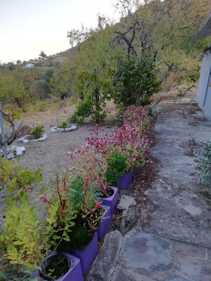 Myrovolos Villa Armenistis  Buitenkant foto